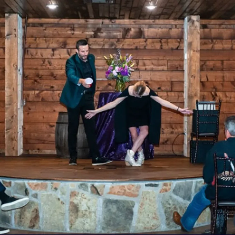 Stage Show image