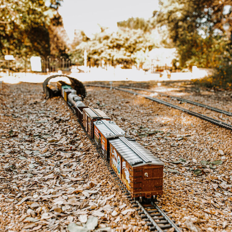 Birthday-THE SHADE-TRAIN GARDEN image